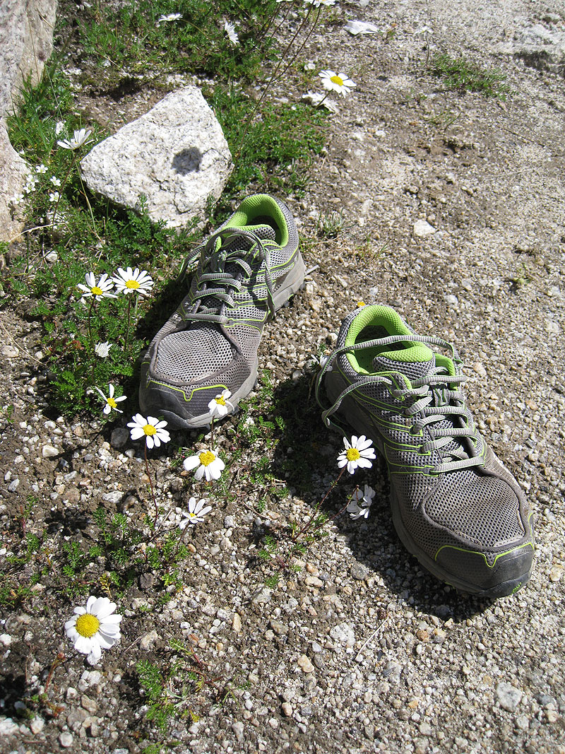 Inov8